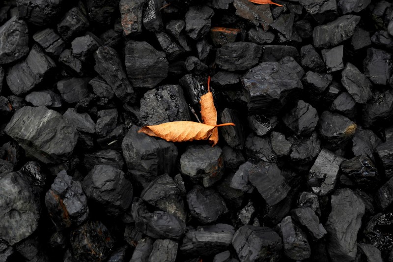 Stunning Coal Rally Halts in China as Government Issues Warnings