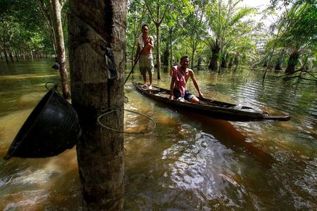 Thai floods harm key region for world