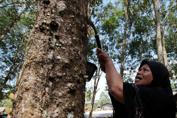 Thai government promotes use of rubber to support price