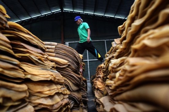Thailand: B5.9bn approved to revamp rubber industry Thailand: B5.9bn approved to revamp rubber industry