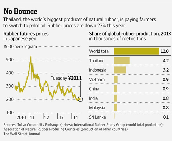 Thailand Encourages Rubber Farmers to Switch Crops