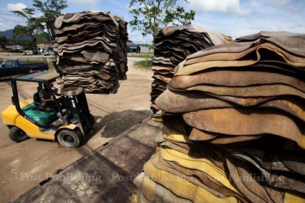 Thailand: Government moving quickly on rubber crisis