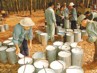 Thailand, Indonesia, Malaysia to meet again on rubber