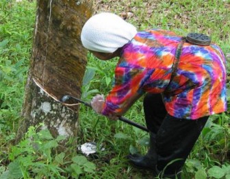 [Thailand] Natural Rubber prices on December 6, 2012