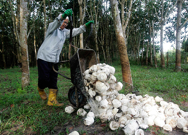 Thailand: Rubber farmers still plan protest