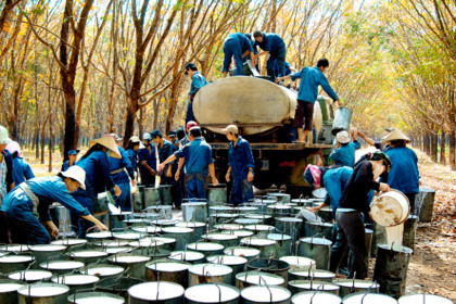 Thailand takes steps to help rubber farmers cope with low prices