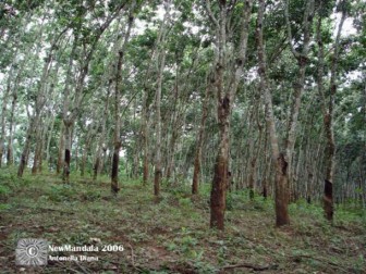 Tokyo rubber futures follow equities higher, but demand worries linger