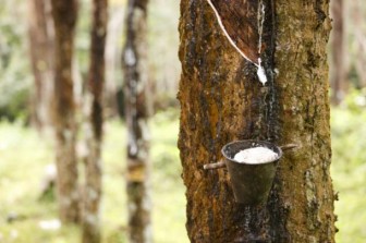 Tokyo rubber futures hit 3-week high on weaker yen