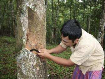 Tokyo rubber futures rise for first time in three days (Nov. 14)