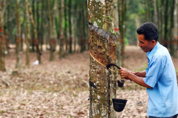 Top rubber producers say Natural Rubber price trend not reflective of fundamentals