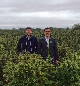 Trading on a future in industrial hemp