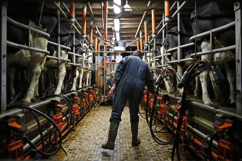 Trump Gives Dairy a Boost But Long-Term Prospects Remain Shaky