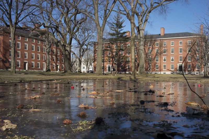 U.S. backs students claiming Harvard ignored professor