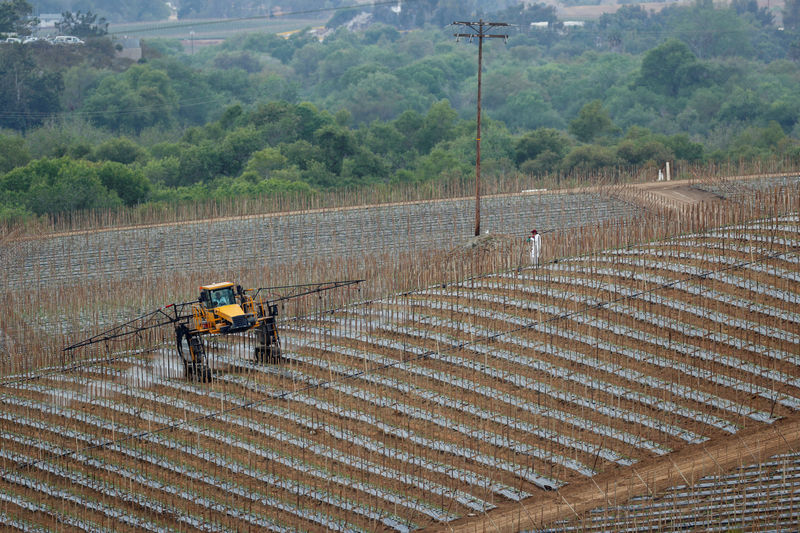 U.S. cuts 2019 farm income forecast but still projects growth