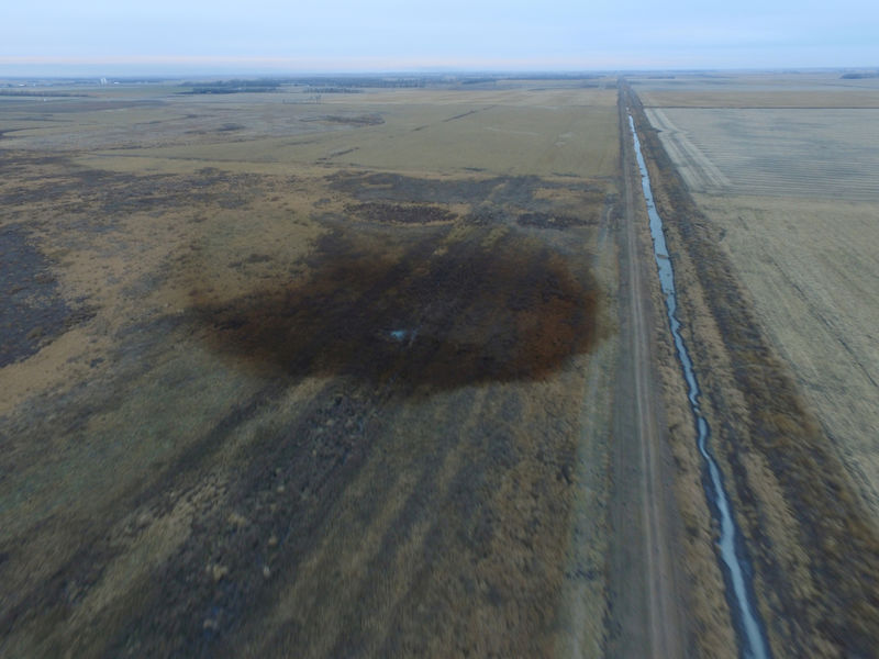 U.S. judge halts Keystone XL pipeline, dealing project another setback