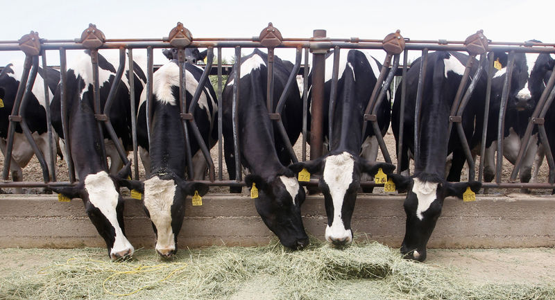 U.S. milk producers ask government for more aid, citing  billion tariff impact