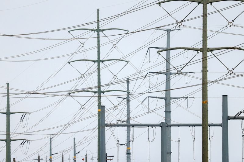 U.S. power use to reach record high in 2022 as economy grows -EIA