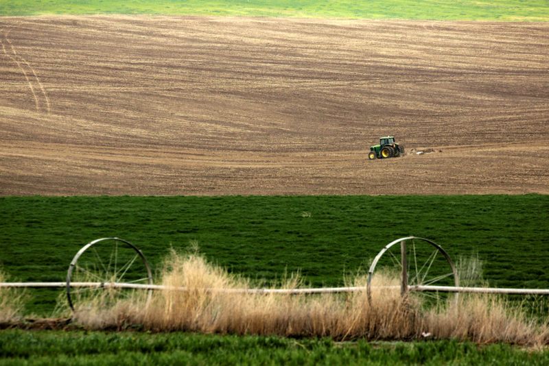 U.S. senators call for planting on conserved land in response to Ukraine crisis