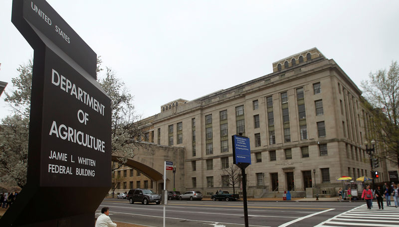 U.S. shutdown sends grain traders, farmers hunting for data