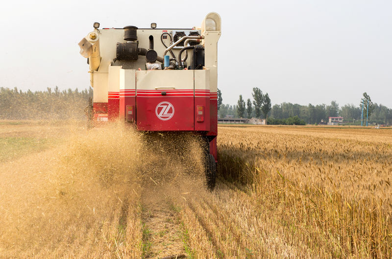 U.S. wins WTO ruling on Chinese grains; decision also affect India