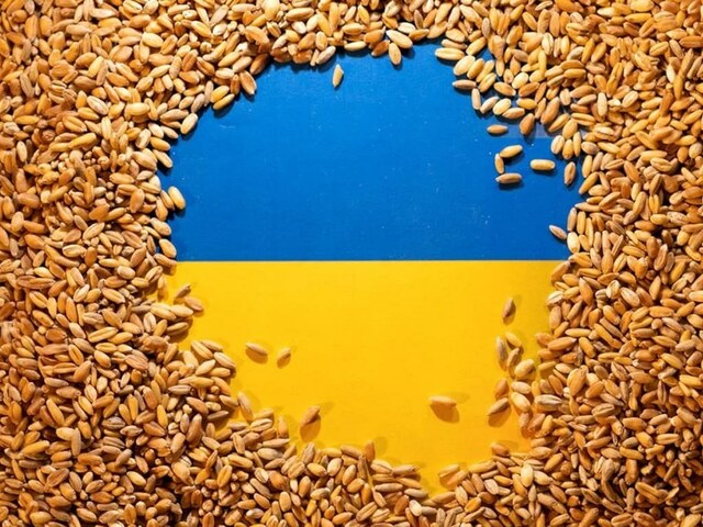 Ukrainian grain traders ask govt to ensure power supply