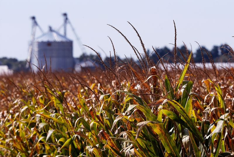 US crop insurance provides billions in profit for insurers -gov