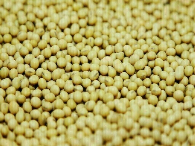 USDA June soybean crush seen at 175.5m bushels