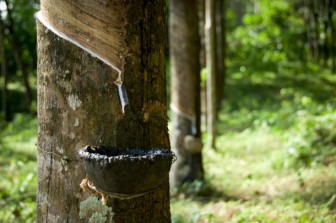 Tokyo rubber futures dip on demand concern (Nov. 28)