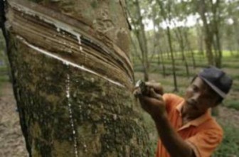 Vietnam may join top rubber producers