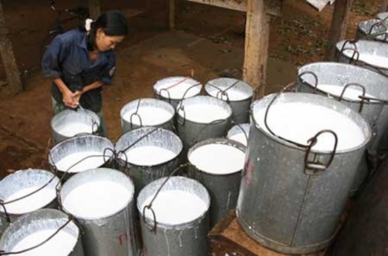 Vietnam: Rubber export tariffs may be cut