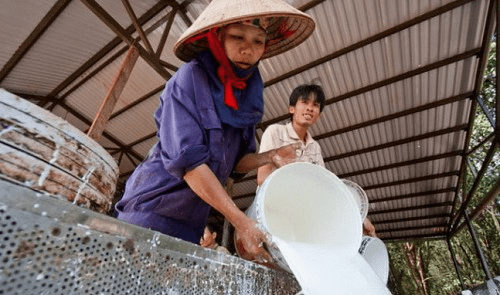 Vietnam rubber giant seeks permission to help loss-making arm with state mone