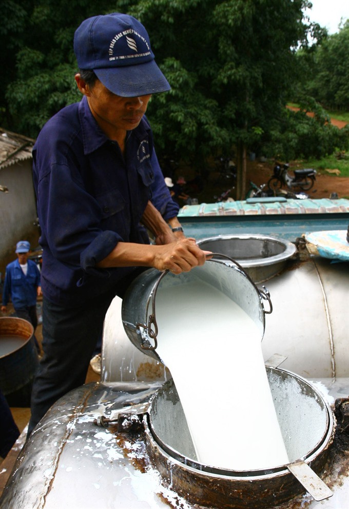 Vietnam: Rubber industry expects export recovery this year