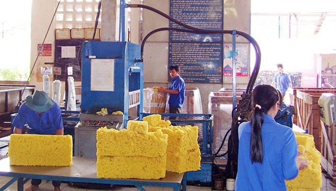 Vietnam: Rubber industry faces falling export price