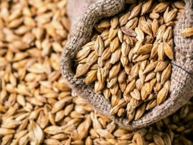 Wheat bounces off 3 week low on Black Sea, Australian supply worries