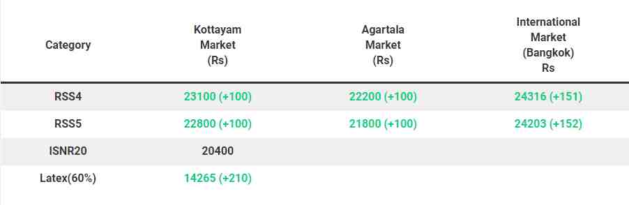 Rubber price (Kottayam and International market): September 20, 2024