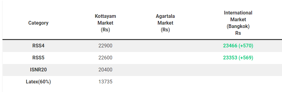 Rubber price (Kottayam and International market): September 16, 2024