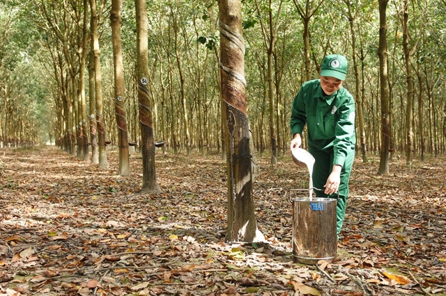 Việt Nam's rubber exports reach .7 billion in eight months