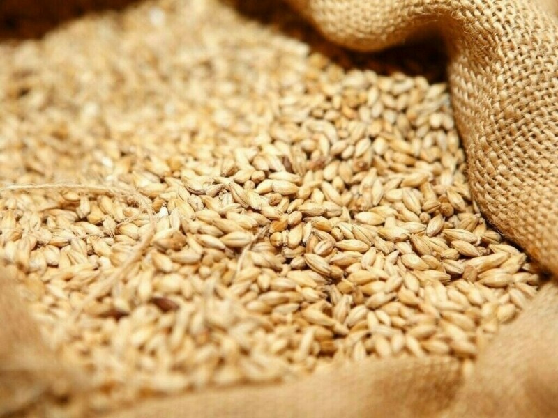 Algerian wheat buy in tender seen at 510,000 to 570,000 T, traders say