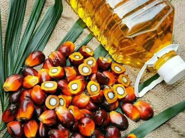 Malaysian palm oil erases early gains