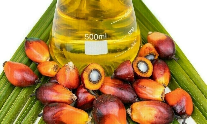 Malaysian palm oil futures higher