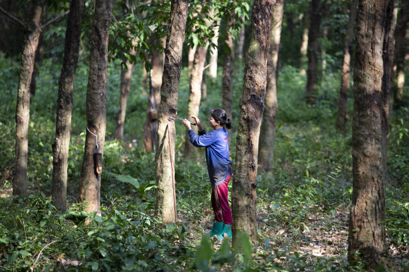 Thailand: Adverse weather boosts rubber prices to 13-year high