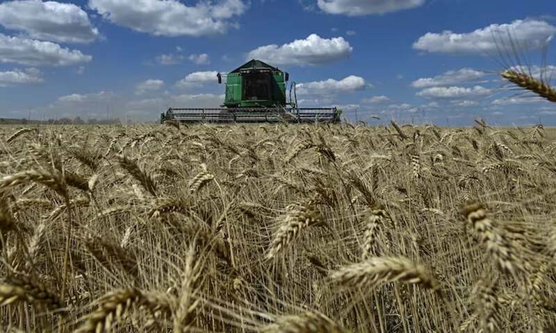 Weather conditions remain poor for winter grain sowing in Ukraine