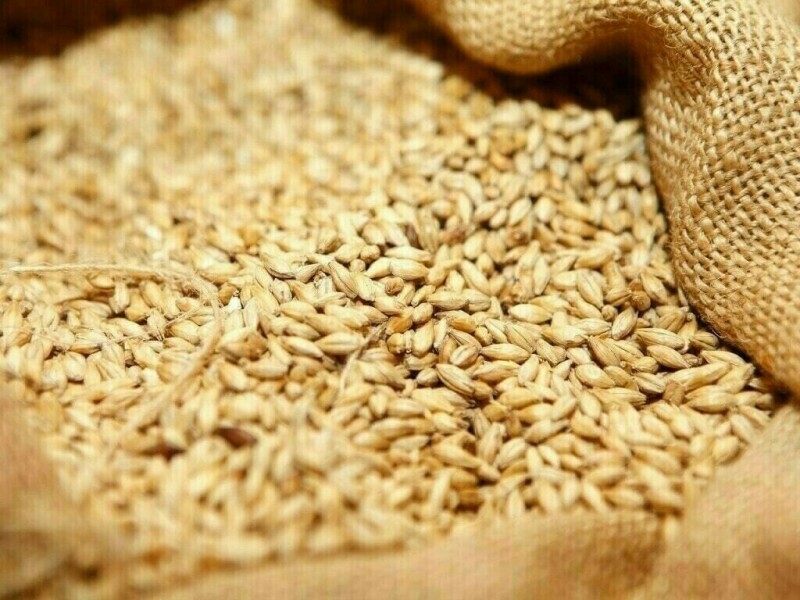 Wheat firms, set for 3rd week of gains on supply worries